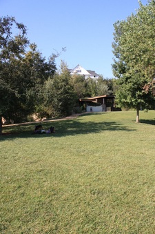 Enlarge photo 13
