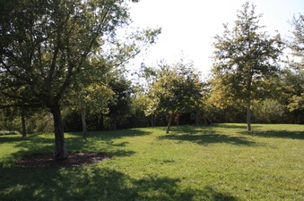 Enlarge photo 14