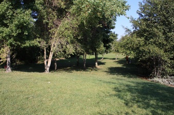 Enlarge photo 15