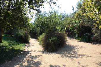 Enlarge photo 19