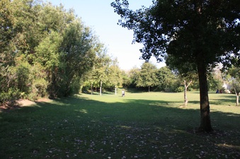Enlarge photo 21