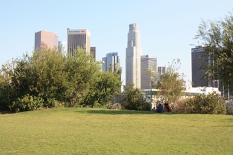 Enlarge photo 24