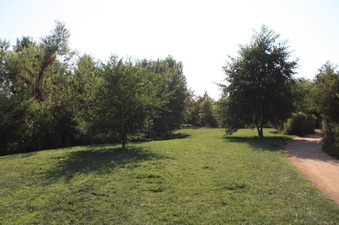Enlarge photo 31