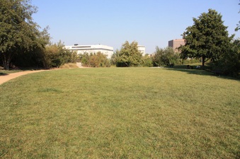 Enlarge photo 32