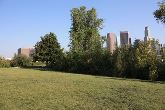 Enlarge photo 33