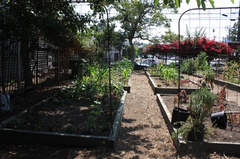 Enlarge photo 5