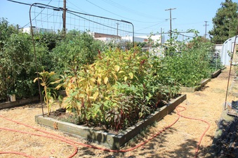 Enlarge photo 13