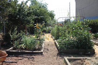Enlarge photo 15
