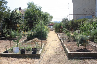 Enlarge photo 17