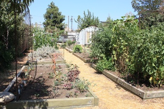 Enlarge photo 19