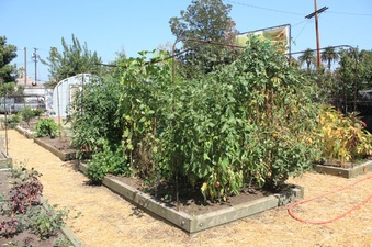 Enlarge photo 20