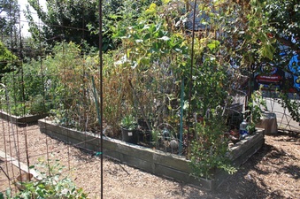 Enlarge photo 22