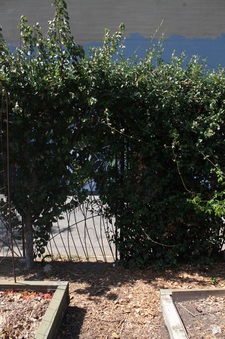 Enlarge photo 23