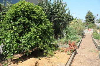 Enlarge photo 24