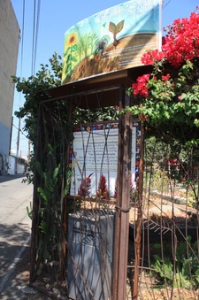 Enlarge photo 25