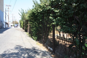 Enlarge photo 28