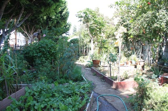 Enlarge photo 1
