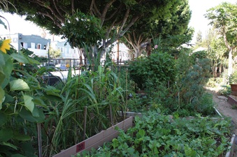 Enlarge photo 2