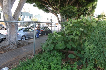 Enlarge photo 4