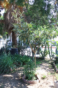 Enlarge photo 6