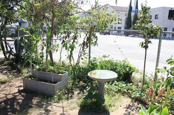 Enlarge photo 7