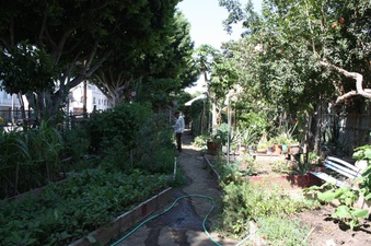 Enlarge photo 8