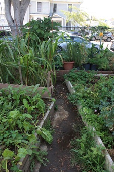 Enlarge photo 10