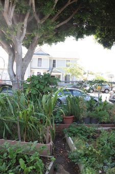 Enlarge photo 11