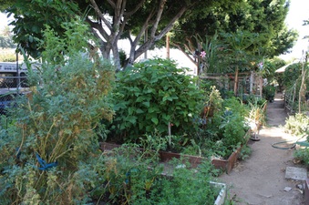 Enlarge photo 12