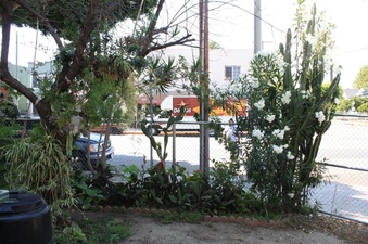 Enlarge photo 17