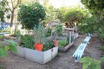 Enlarge photo 19