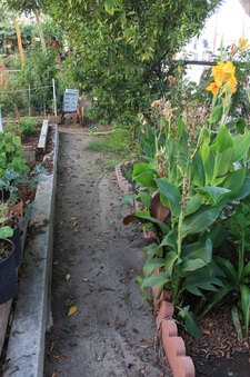 Enlarge photo 26