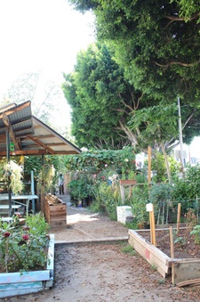 Enlarge photo 28