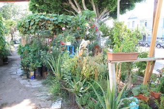 Enlarge photo 29
