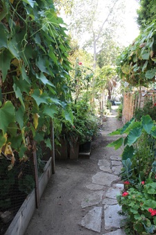 Enlarge photo 30