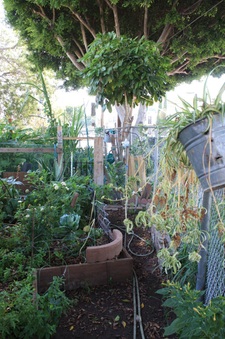 Enlarge photo 31