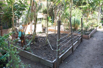 Enlarge photo 32