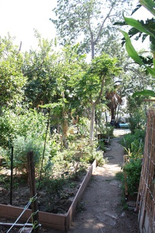 Enlarge photo 33