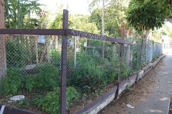 Enlarge photo 35