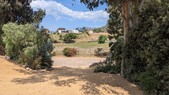 mgarden