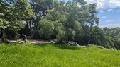 Enlarge photo 25