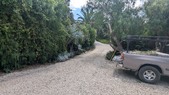 Enlarge photo 43