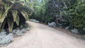 Enlarge photo 44