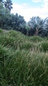 Enlarge photo 47
