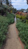 Enlarge photo 49