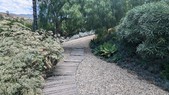 Enlarge photo 61