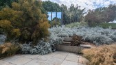 Enlarge photo 69