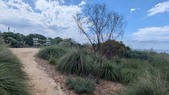 Enlarge photo 79