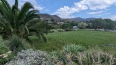 Enlarge photo 84