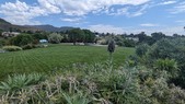 Enlarge photo 85